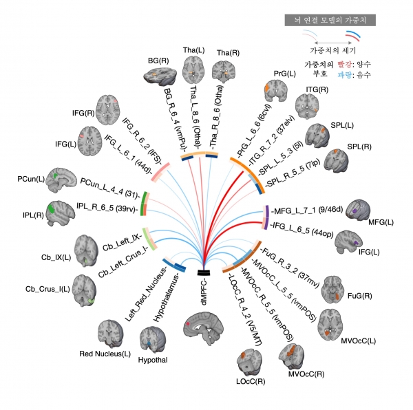 반추를 예측하는 모델(뇌 연결 지도)